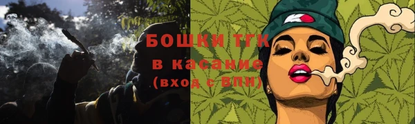 соль ск Алзамай