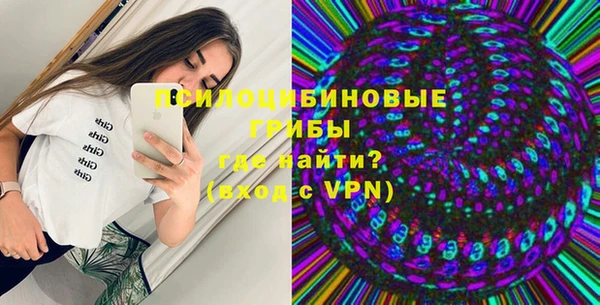 соль ск Алзамай
