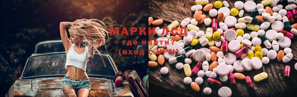 прущие грибы Алексин