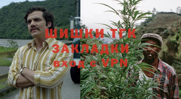 прущие грибы Алексин