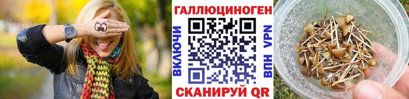 Псилоцибиновые грибы Psilocybine cubensis  купить наркотики цена  Дзержинский 