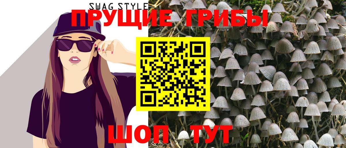 Псилоцибиновые грибы MAGIC MUSHROOMS  Вход с VPN  Дзержинский 